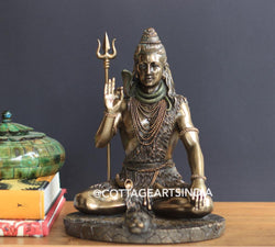 Bonded Resin Shiva 10''